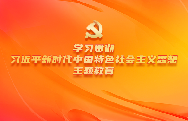 学习贯彻习近平新时代中国特色社会主义思想主题教育