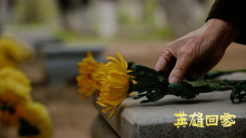 23152235kz5m_副本.jpg