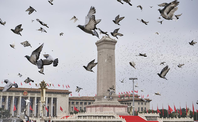 微信图片_20240815084729_副本.png