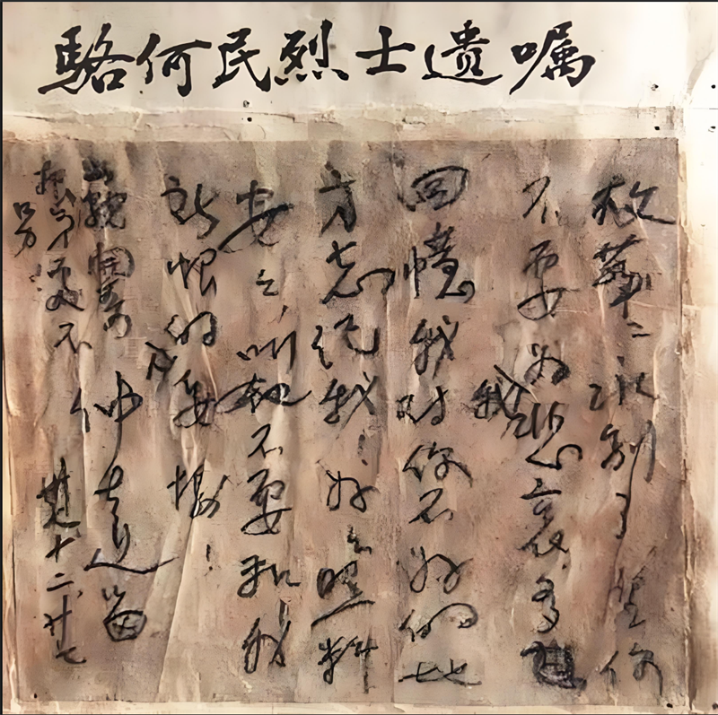 微信图片_20250304090912_副本.png